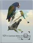 ebook avaialble at apple books and kindle. downloadable onto your apple iOS and OS devices on the book app. And onto you ios , OS and android and kindle fire devices. 