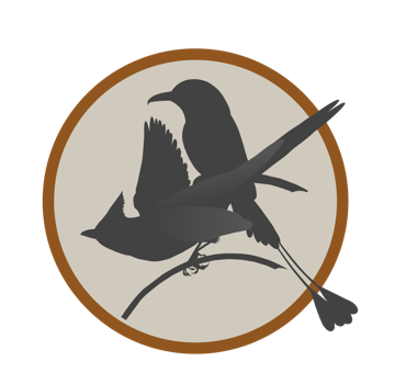 motmot, long tailed silky fly catcher Neotropic Birds